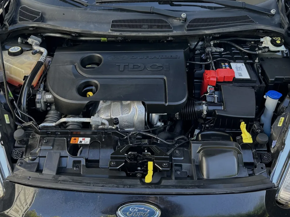 Le même compartiment moteur après nettoyage : plastiques noirs ravivés, surfaces nettes